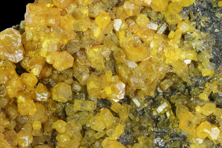 Orange Hexagonal Mimetite Crystal Cluster - Thailand #93067
